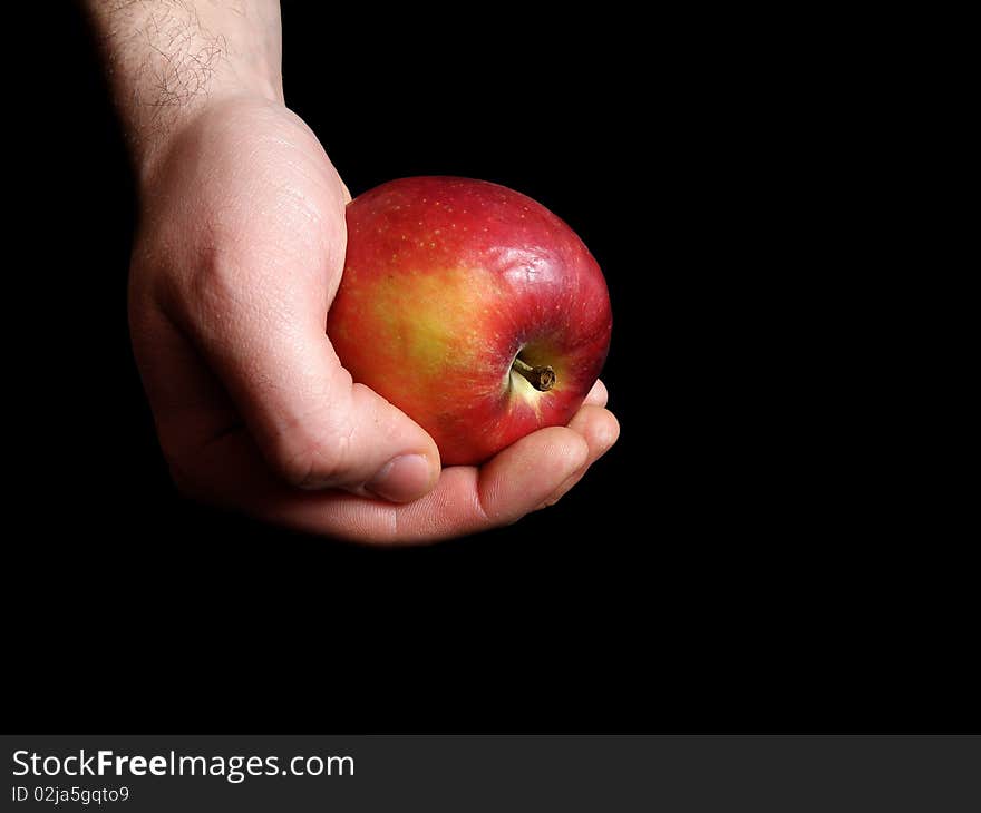 Red Apple, which holds men's hands. On a black background. Red Apple, which holds men's hands. On a black background.