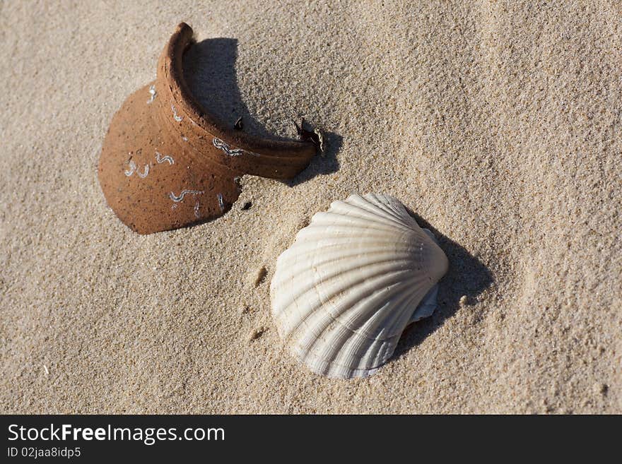 Close up view of an empty shell and a broken ceramic pot buried on the beach sand. Close up view of an empty shell and a broken ceramic pot buried on the beach sand.