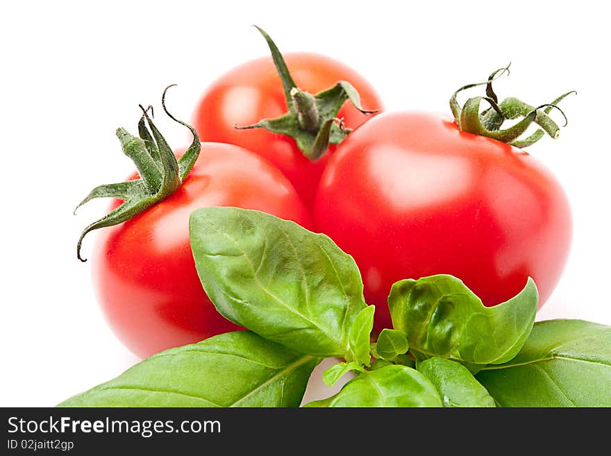 Fresh tomatoes with basil on withe backround. Fresh tomatoes with basil on withe backround