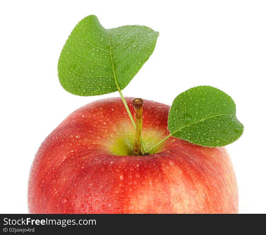 Red apple with green leaf