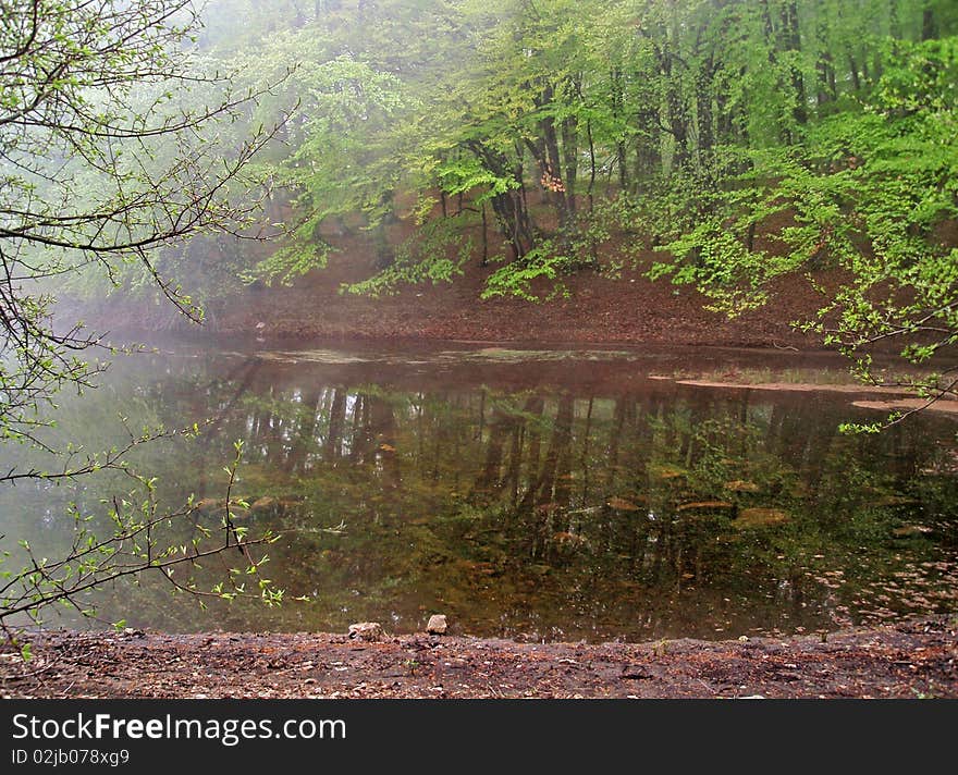 Forest lake in fog in spring. Forest lake in fog in spring