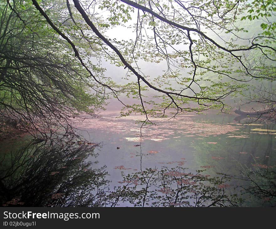 Forest lake in fog in spring. Forest lake in fog in spring