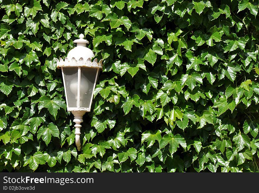 Lamp on the leaves background