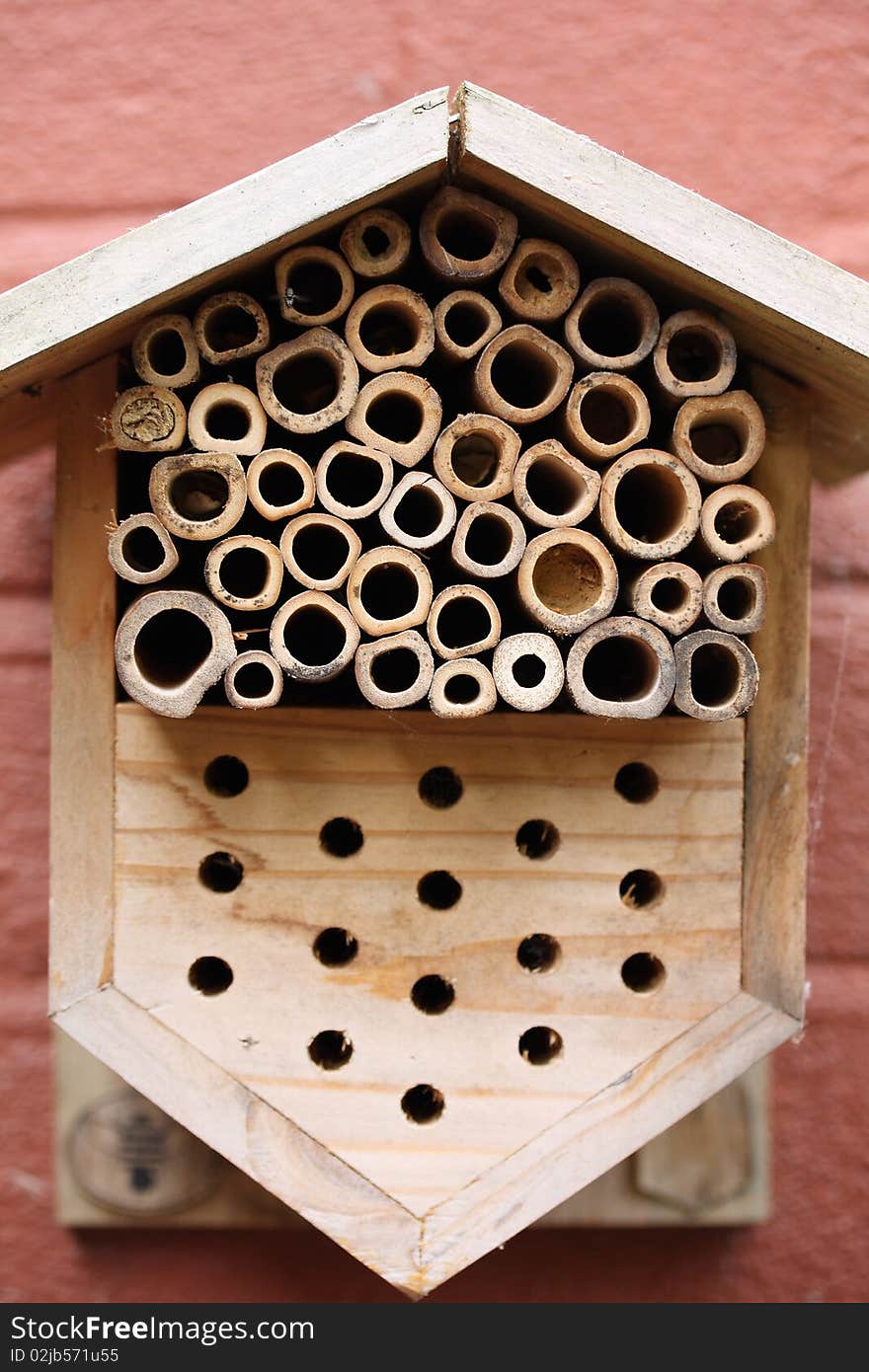 Detail of wasp house made of tubes