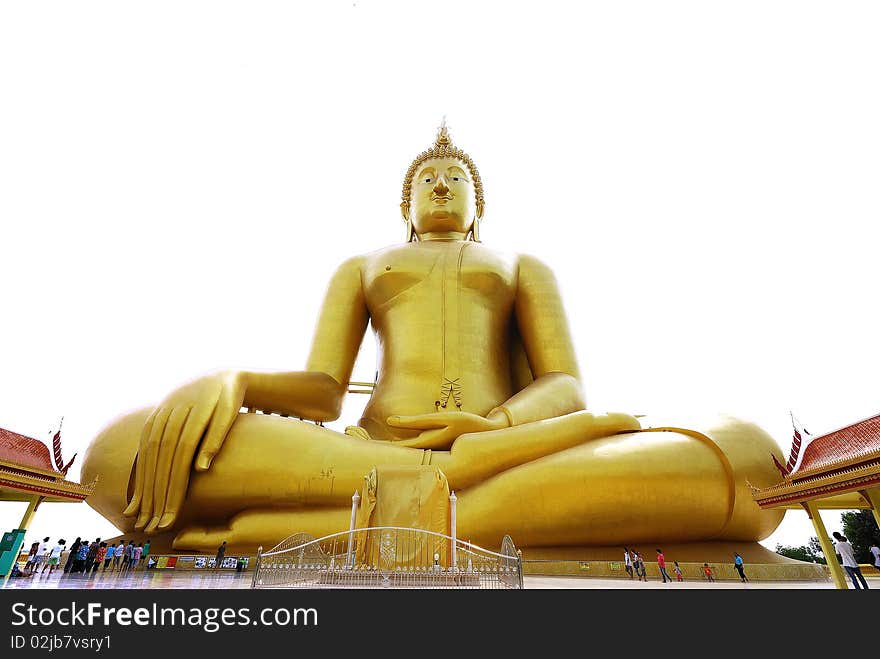 Big golden buddha on white background. Big golden buddha on white background