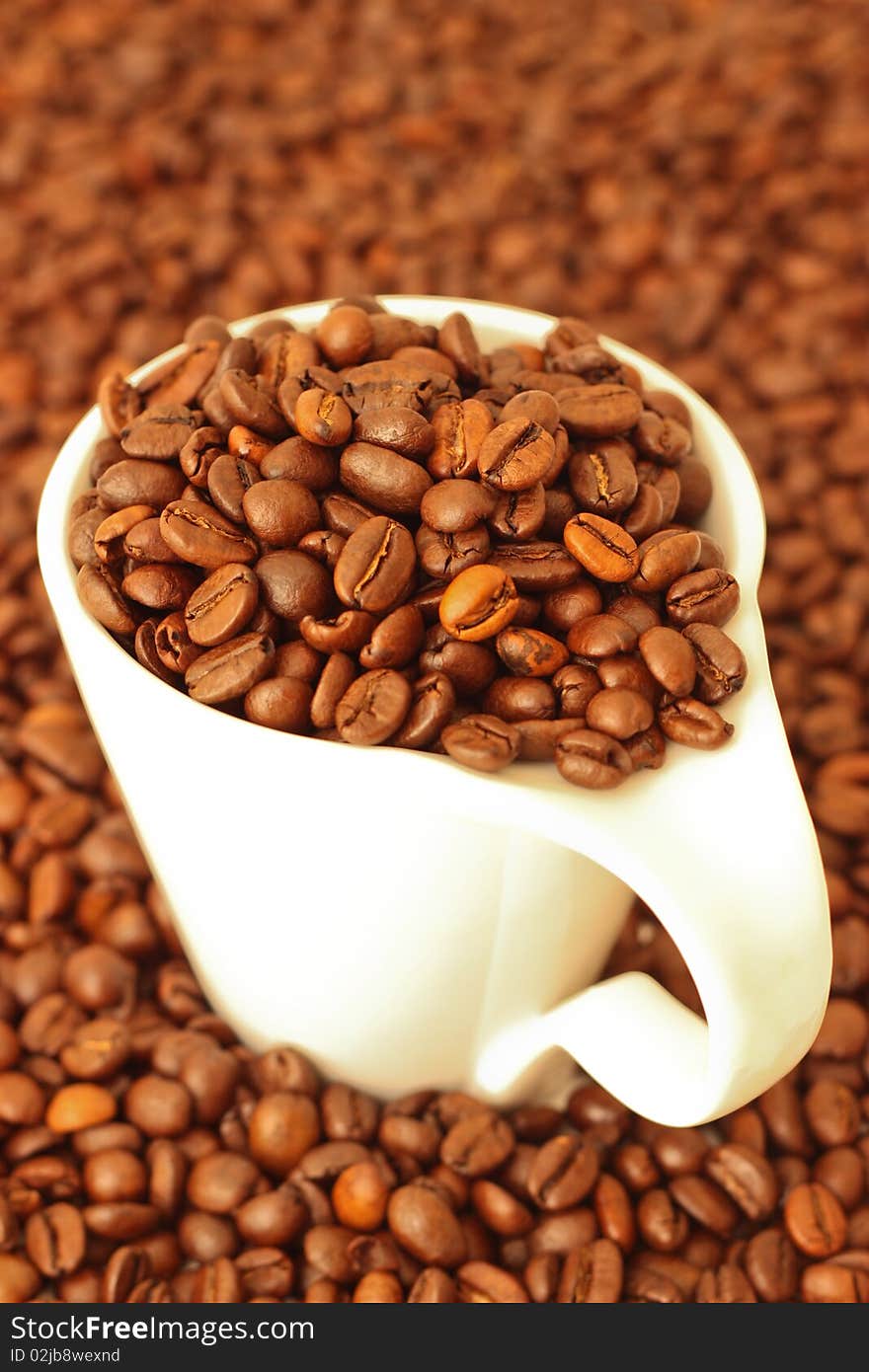 Coffee beans in a white cup