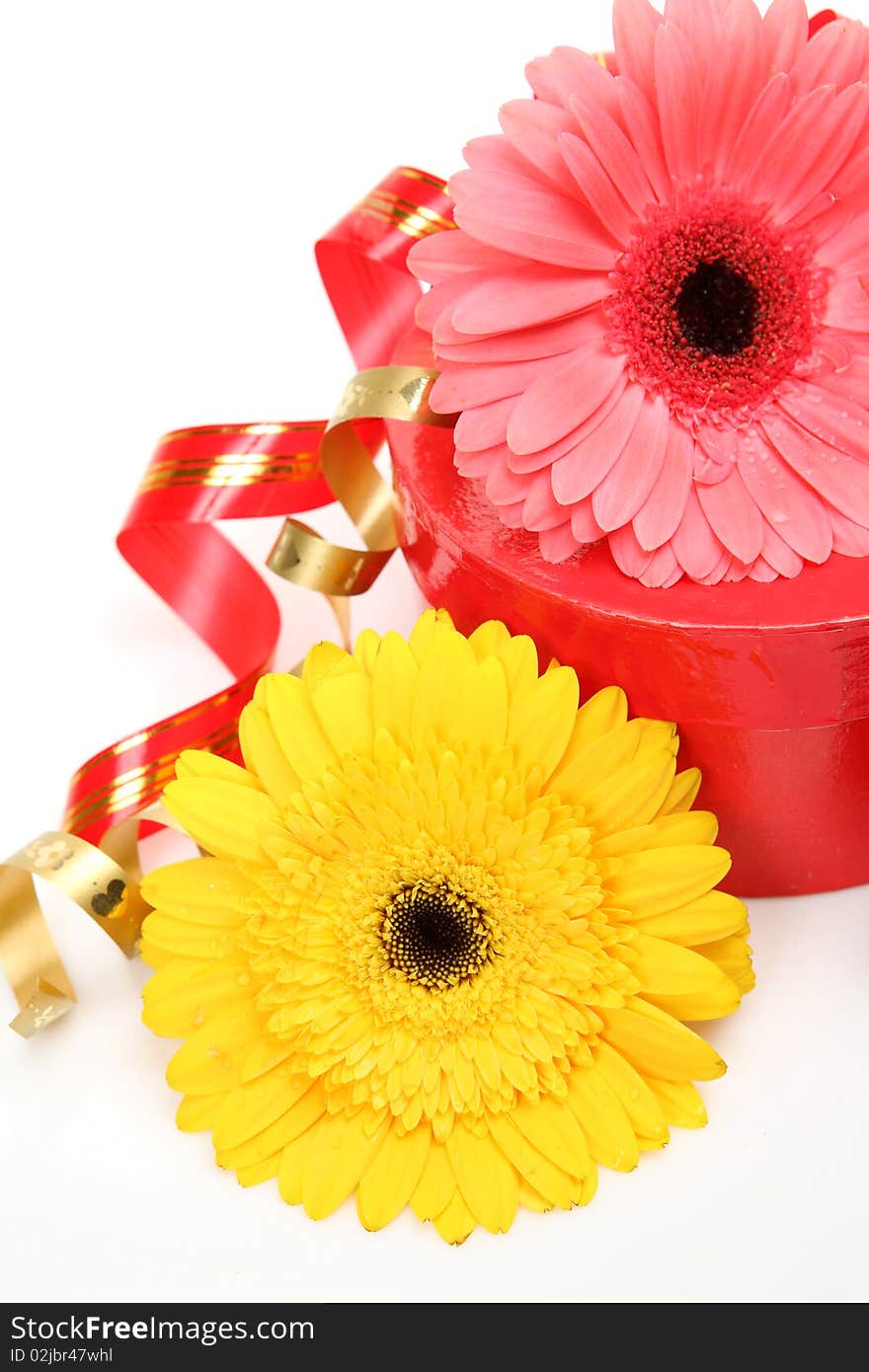 Gift And Flowers