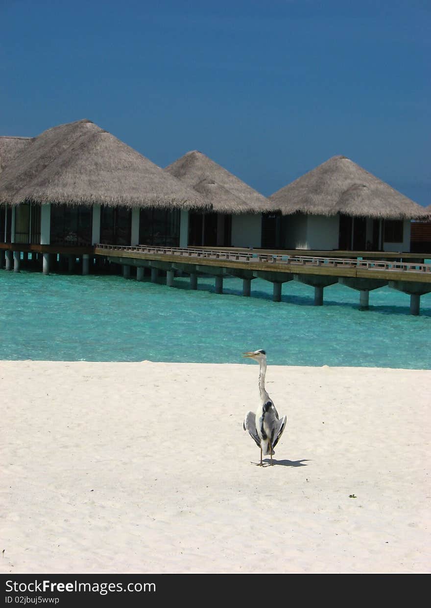 Water Bungalow