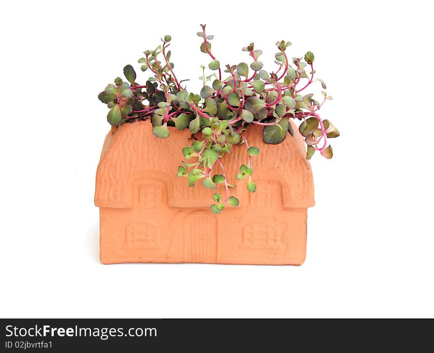 House planter