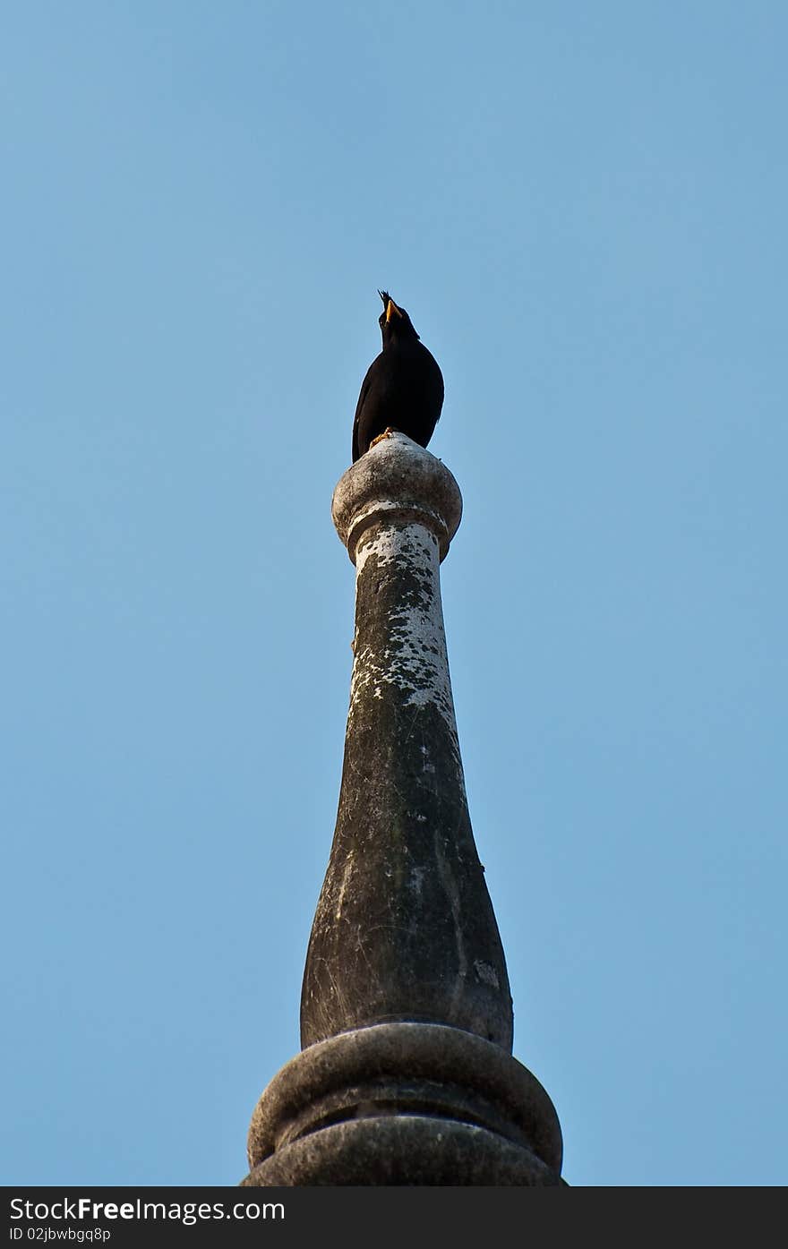 The bird is standing on top of pagoda. The bird is standing on top of pagoda