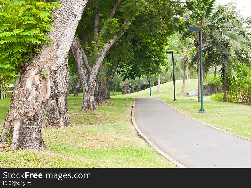 Curve Sidewalk In The Park