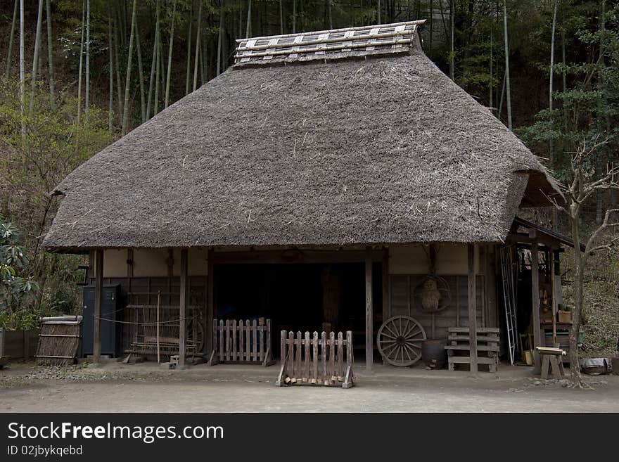 Private house of a thatched roof