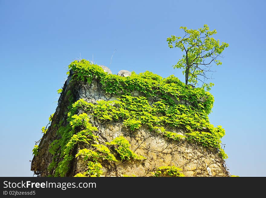 Old stone tower