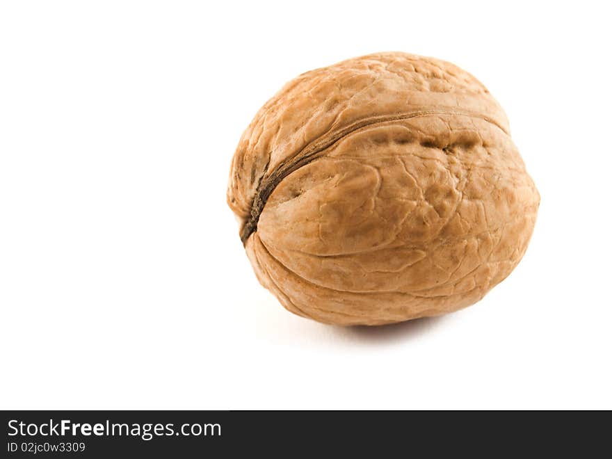 Walnut are isolated on a white background