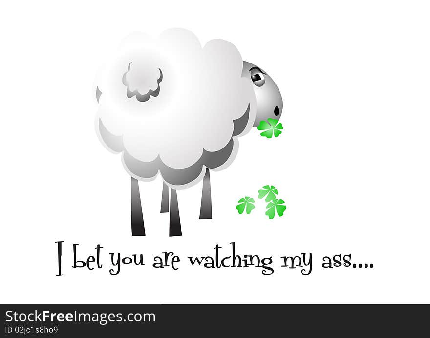 Aggressive and funny sheep in the s