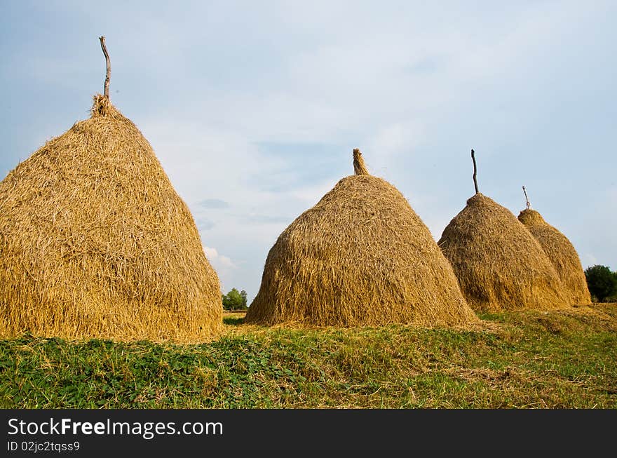 Agricultural