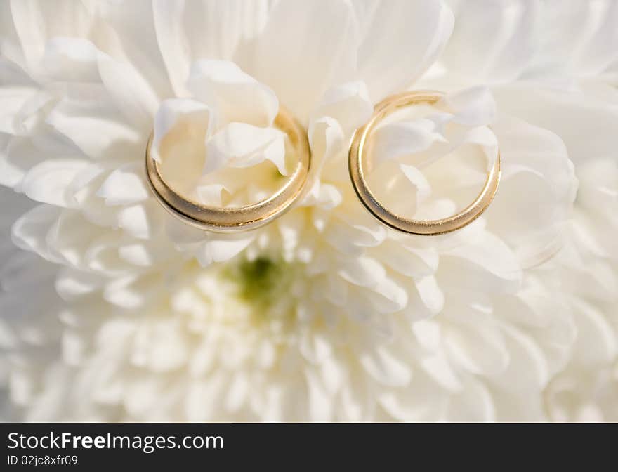 Two wedding rings on a flower