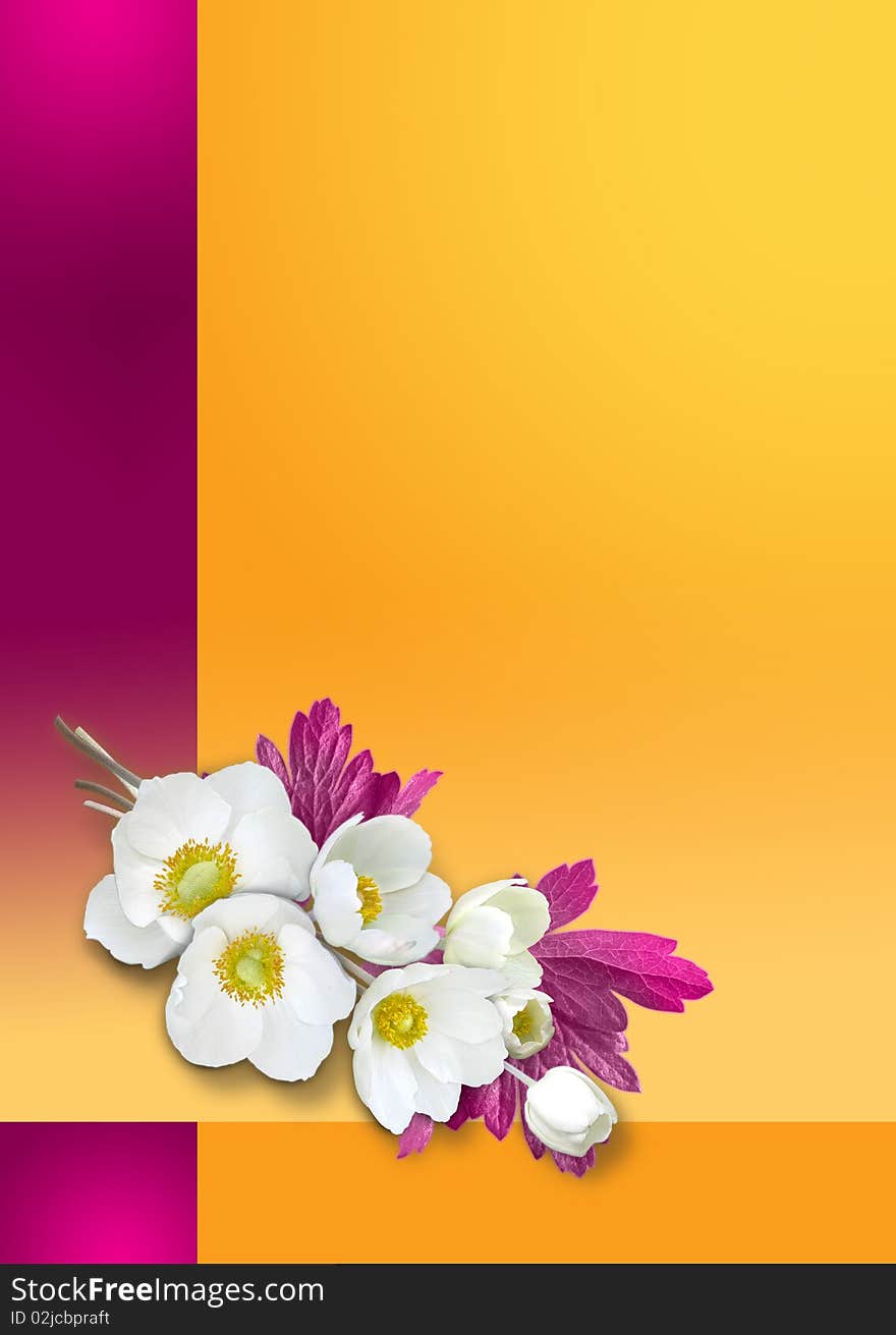 Orange-violet background with white flowers. Orange-violet background with white flowers