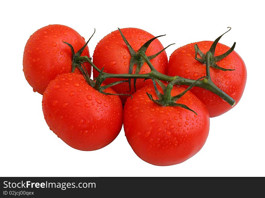 Large ripe fresh tomatoes on vine