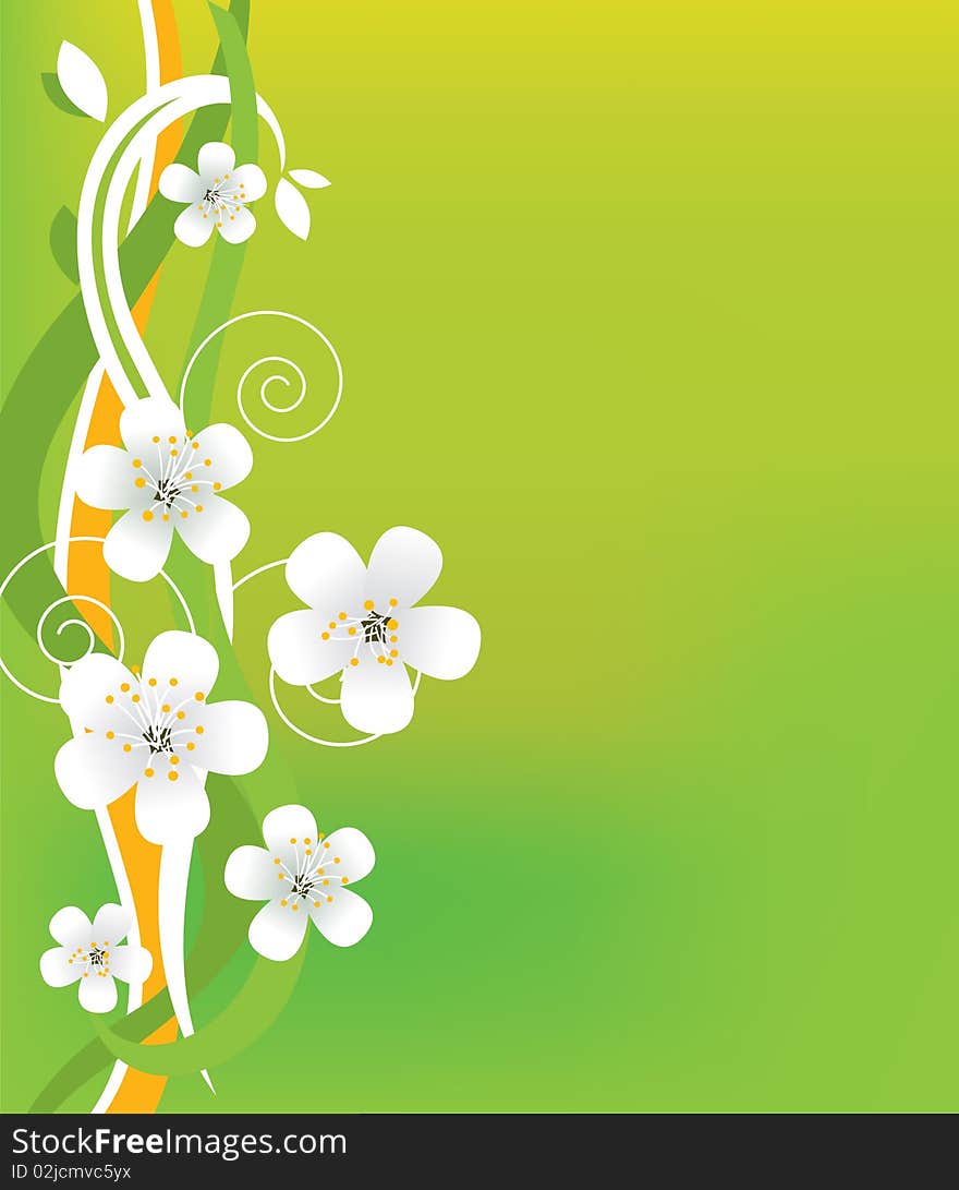 Flowers Background