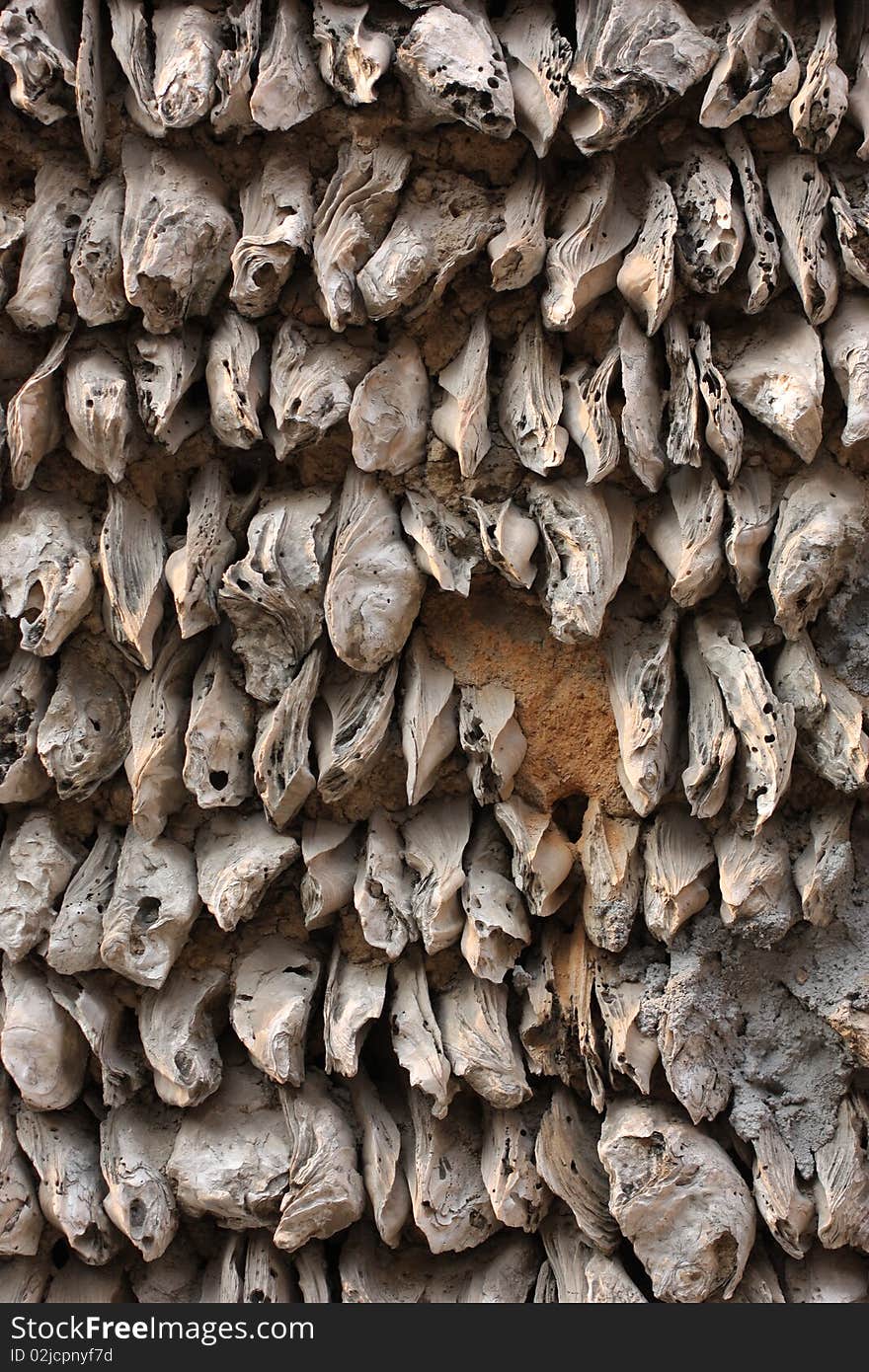 A wall using lots of Oyster Shell to make up. A wall using lots of Oyster Shell to make up