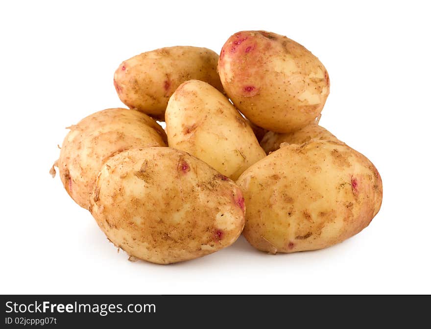 Potato isolated on a white background. Potato isolated on a white background