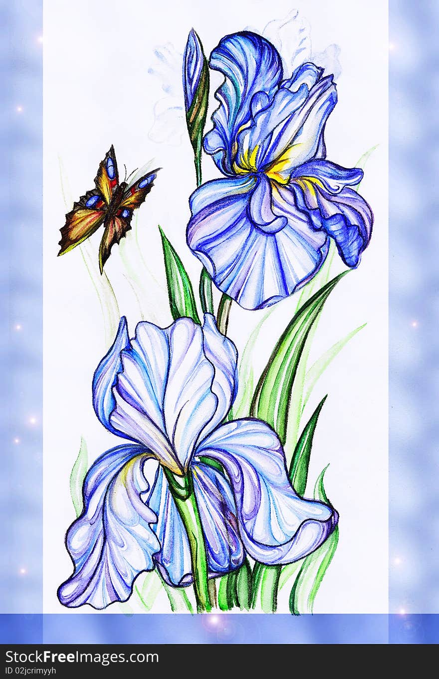 Blue iris flowers and butterfly