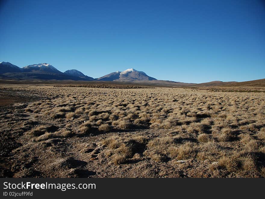 Snow peak and Chungara lake of Lauca national park in north Chile. Snow peak and Chungara lake of Lauca national park in north Chile