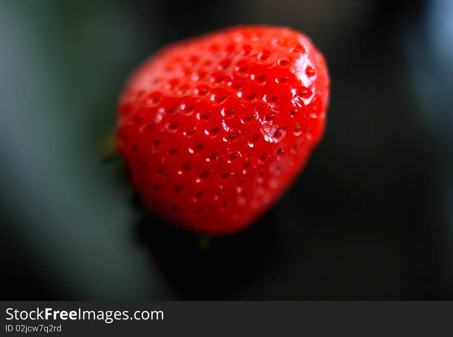 Closeup view of fresh red strawberry isolated on a blurred background