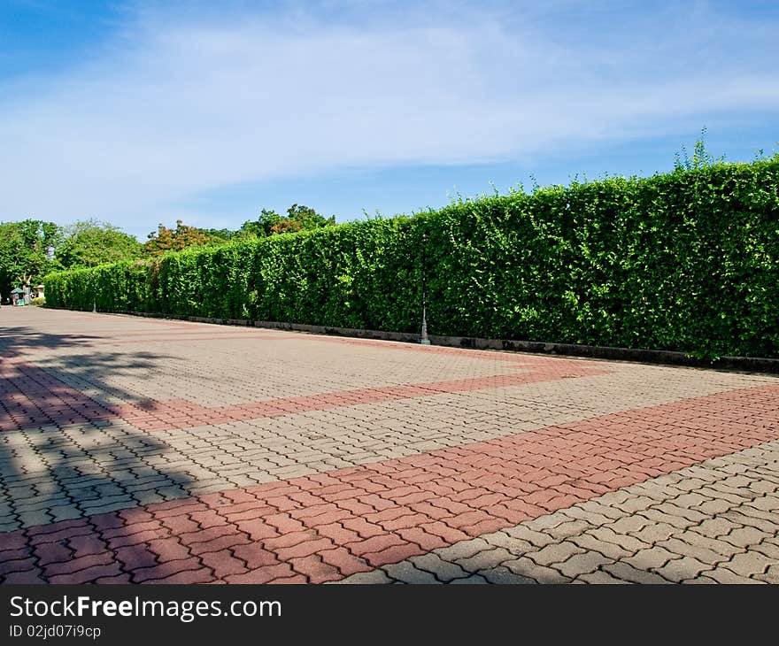 Green fence wall sky background. Green fence wall sky background