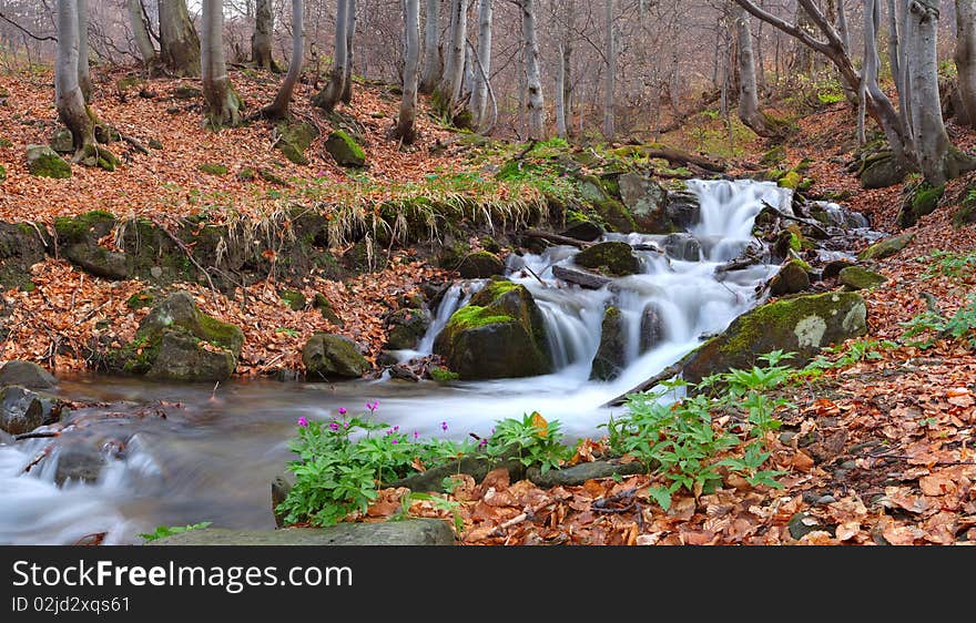 Milk river