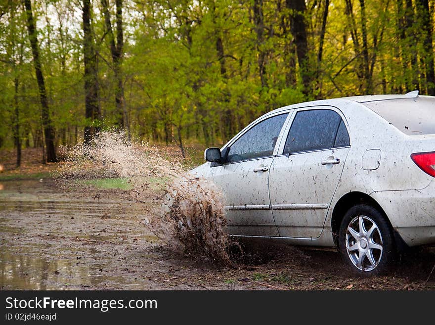 Car forces water. Sedan on nature.