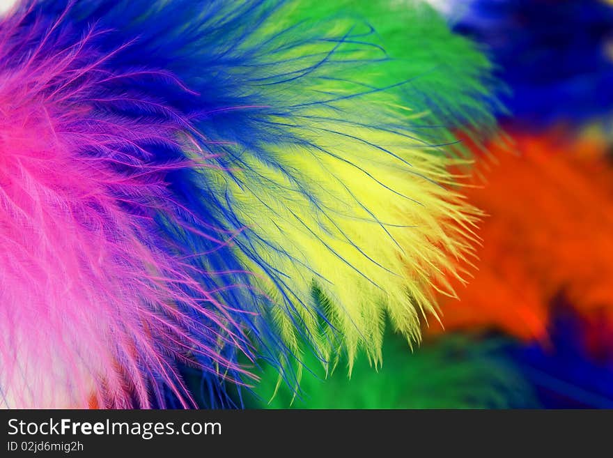 Colored feathers