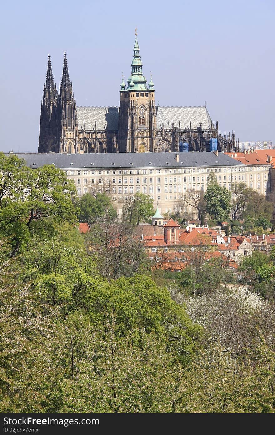 The View on the Prague's gothic Castle with flowering trees and green grass