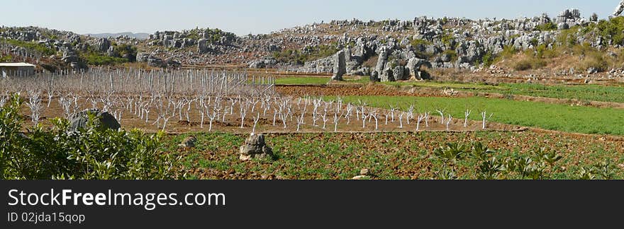 The shilin stone forest near kunming