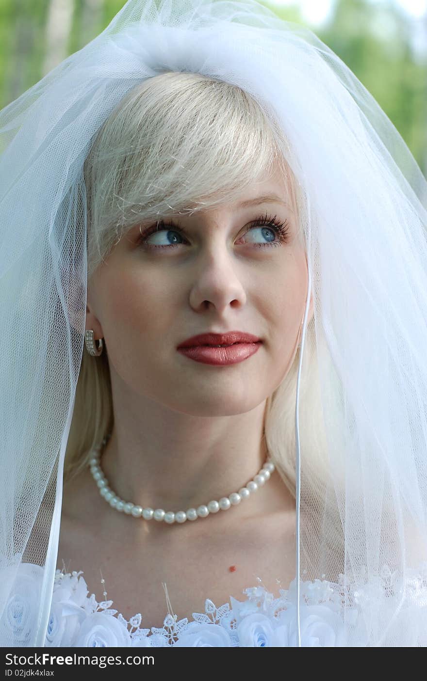 Portrait Of The Bride