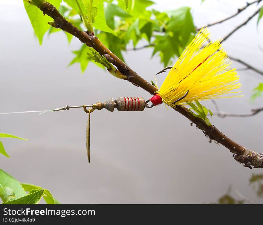 Fishing lure stuck in tree