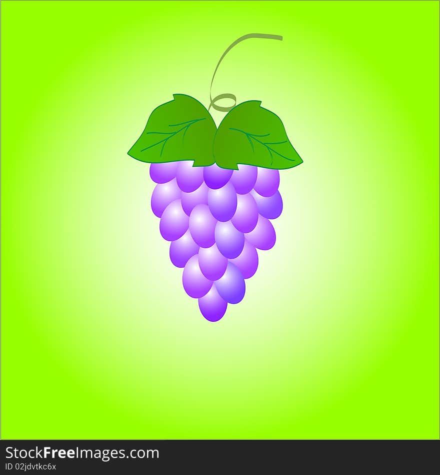 Illustration- bunch of grapes isolated on a green-white background