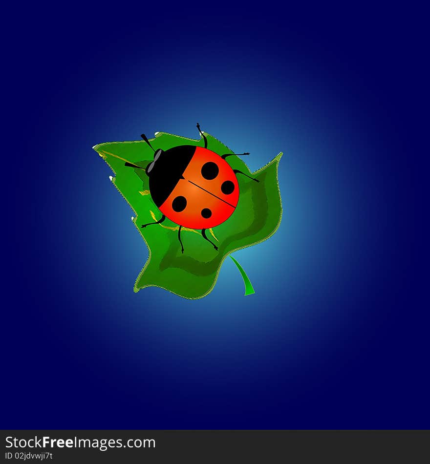 Illustration-ladybird sitting on a leaf