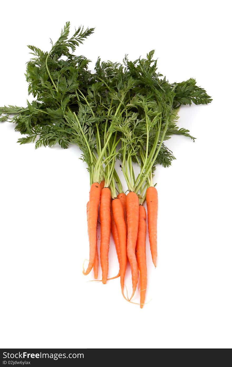 Fresh organic carrot