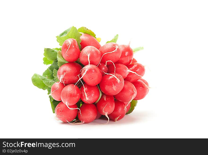 Close-up of a radish on a white background. Close-up of a radish on a white background