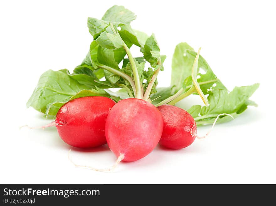 Close-up of a radish on a white background. Close-up of a radish on a white background