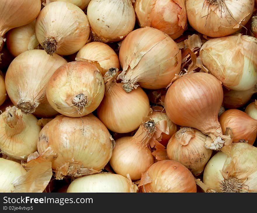 A lot of onion ready for sale on the market. A lot of onion ready for sale on the market