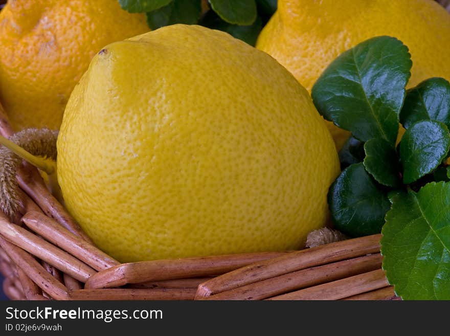 Lemons lying in a basket with a green leaf. Lemons lying in a basket with a green leaf