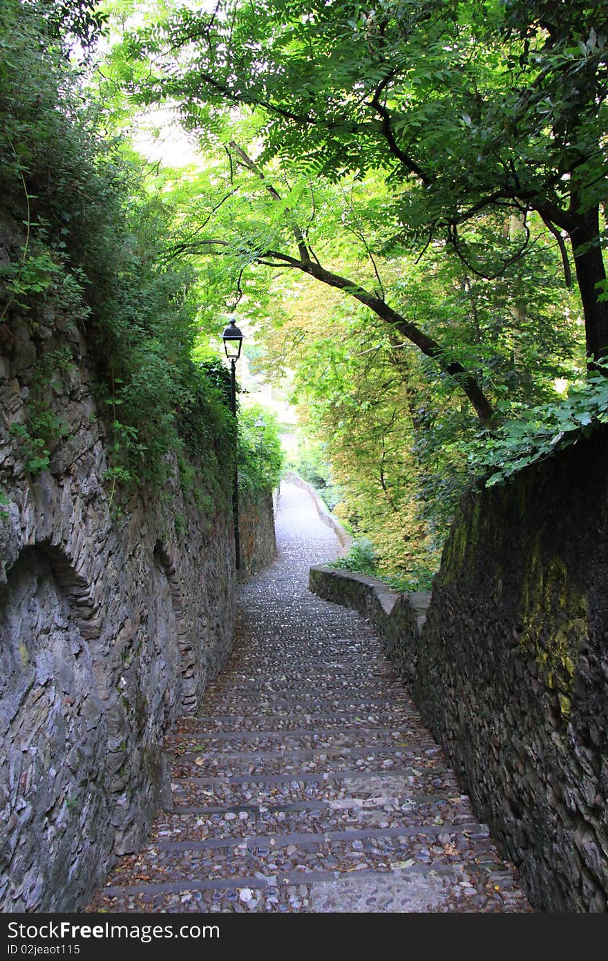 Secluded corner lane with pavestone under trees. Secluded corner lane with pavestone under trees