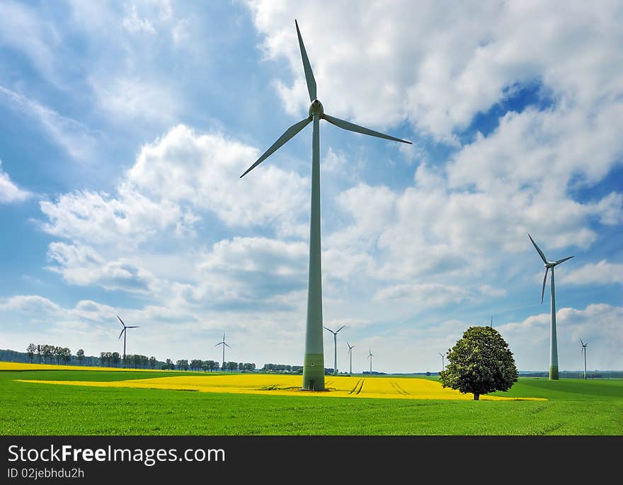 Wind turbines among rapeseed field and green meadows against a dramatically overcast sky. Wind turbines among rapeseed field and green meadows against a dramatically overcast sky