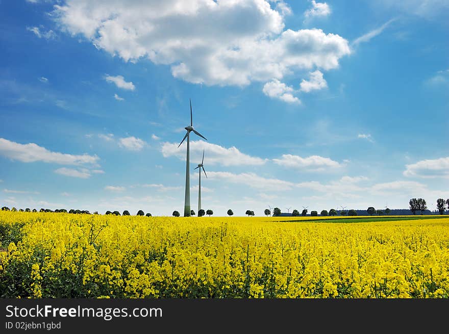 Wind turbines among rapeseed fields and mead