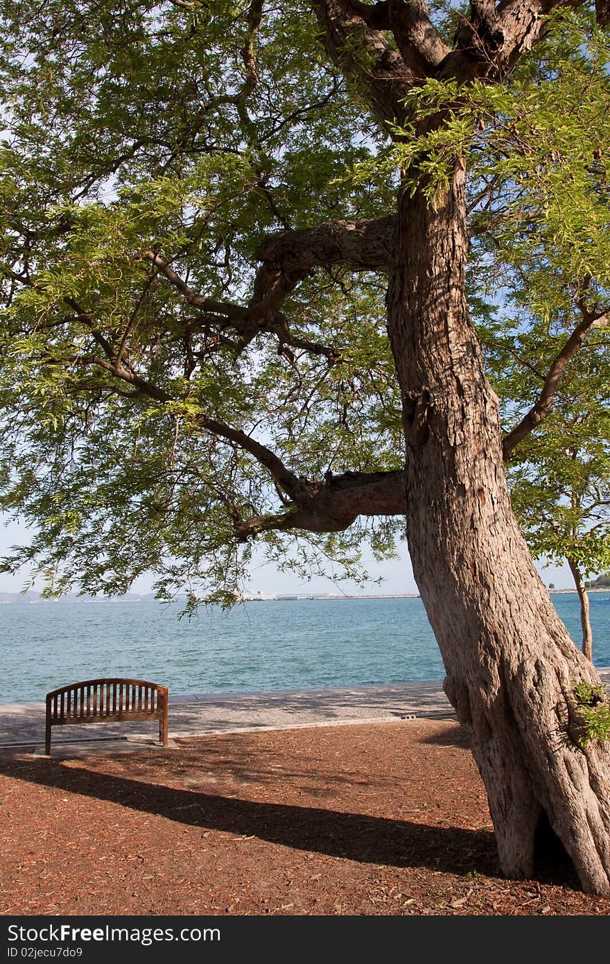 Wood chair at the sea.