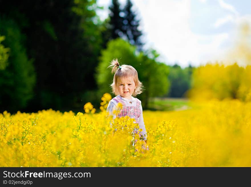 Little girl on the meadow