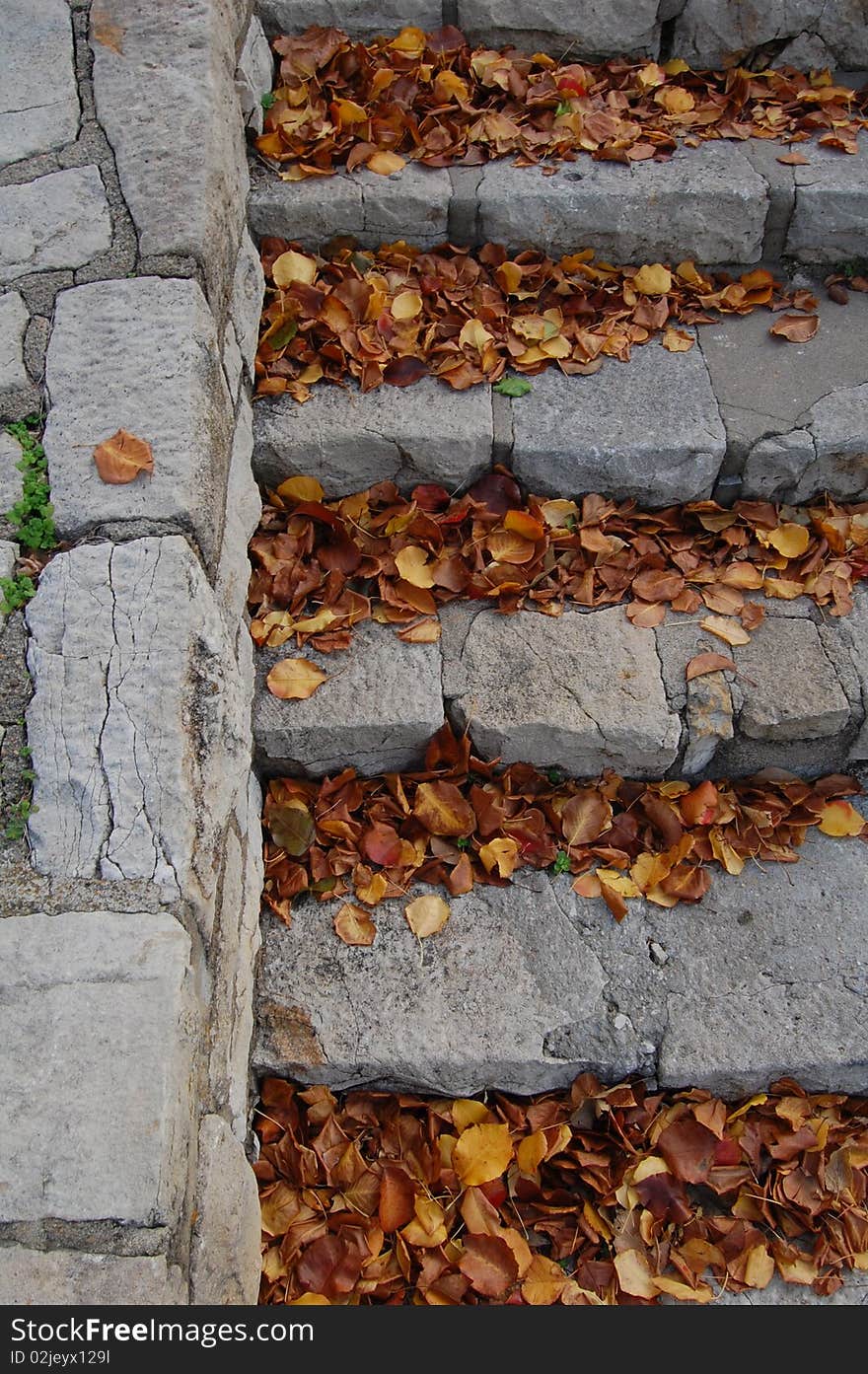 Fall leaves on gray stone steps at indiana university, bloomington, IN. Fall leaves on gray stone steps at indiana university, bloomington, IN